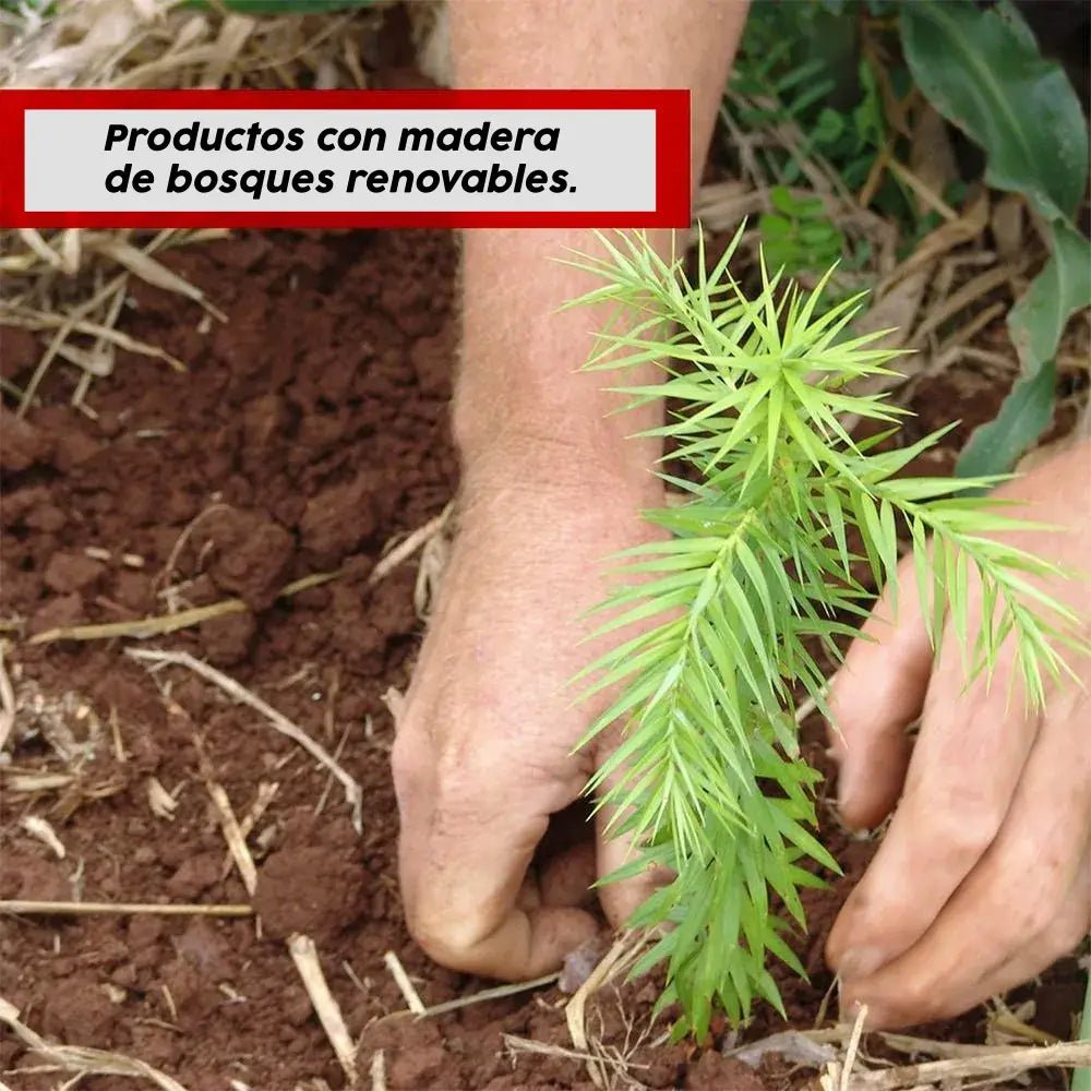 Juego de Comedor Aline Mesa Cristal con 4 Sillas - Balton - 045747K4TPT