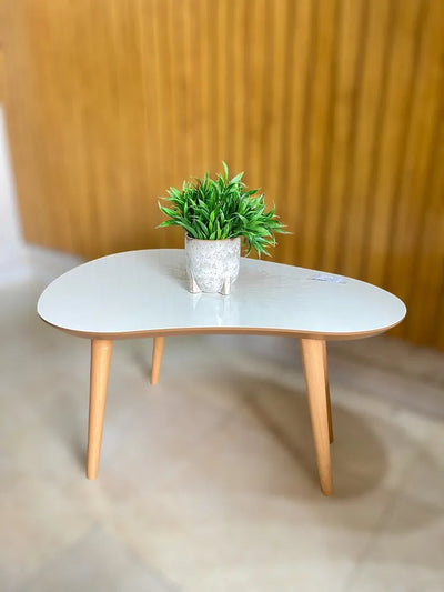 Mesa De Centro Ratona Organica 79cm 100% MDF